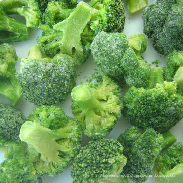 IQF Frozen Broccolis Alimentos Vegetais